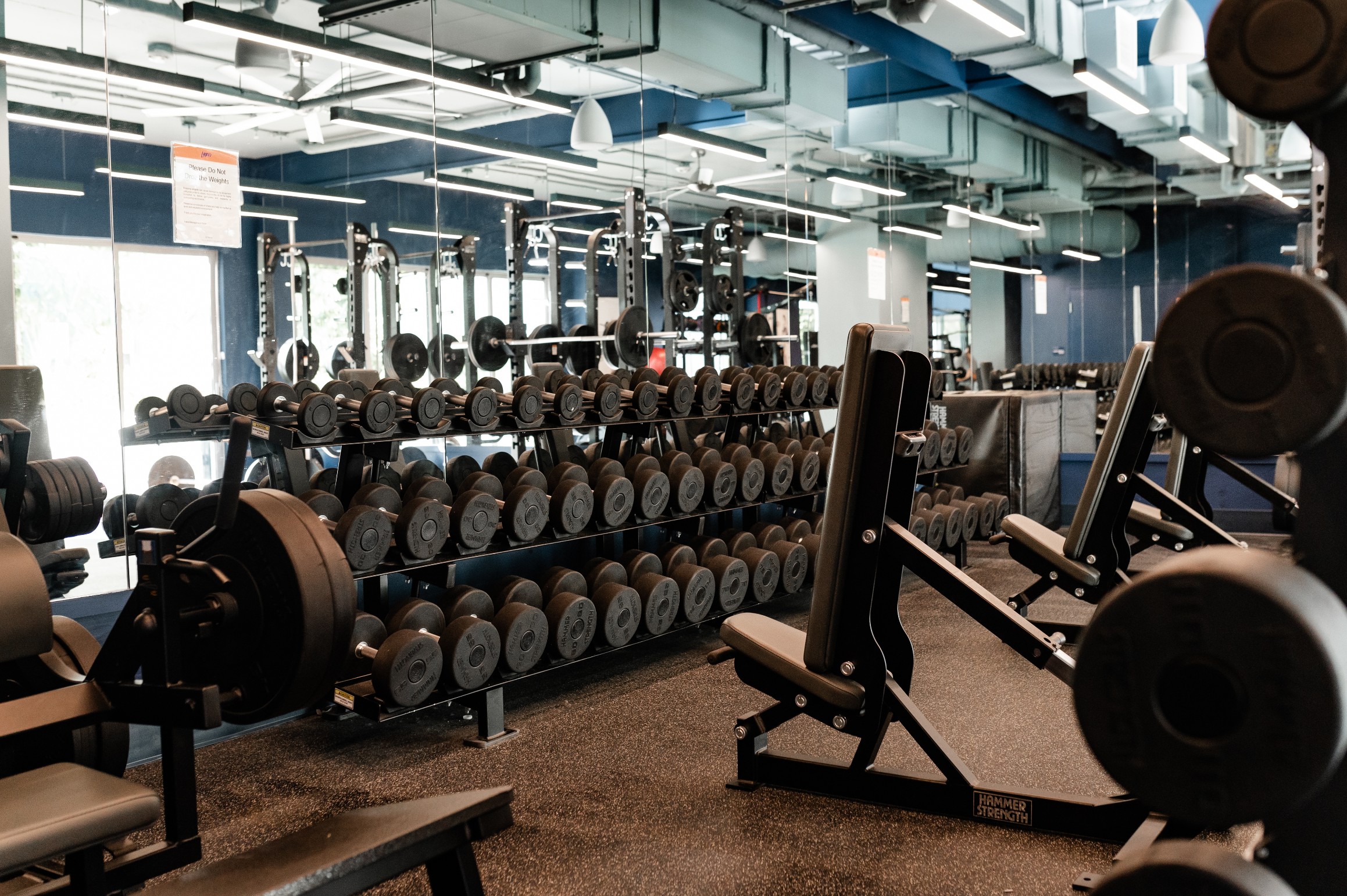 apartment gym dumbbell rack free weights