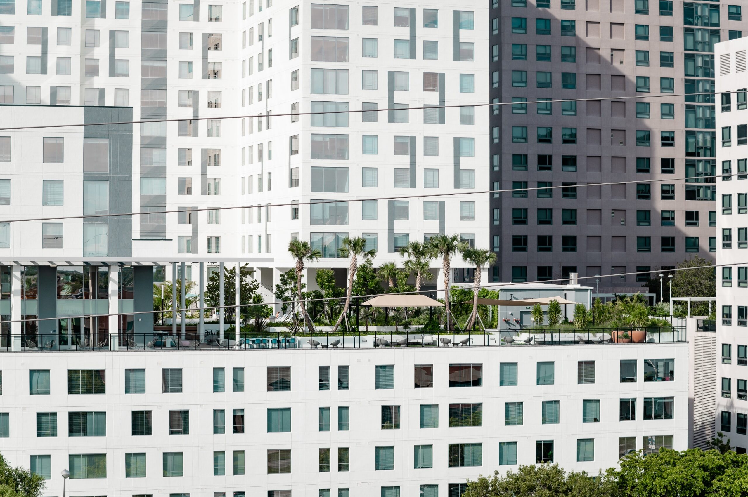 apartment rooftop amenity deck palm trees scaled