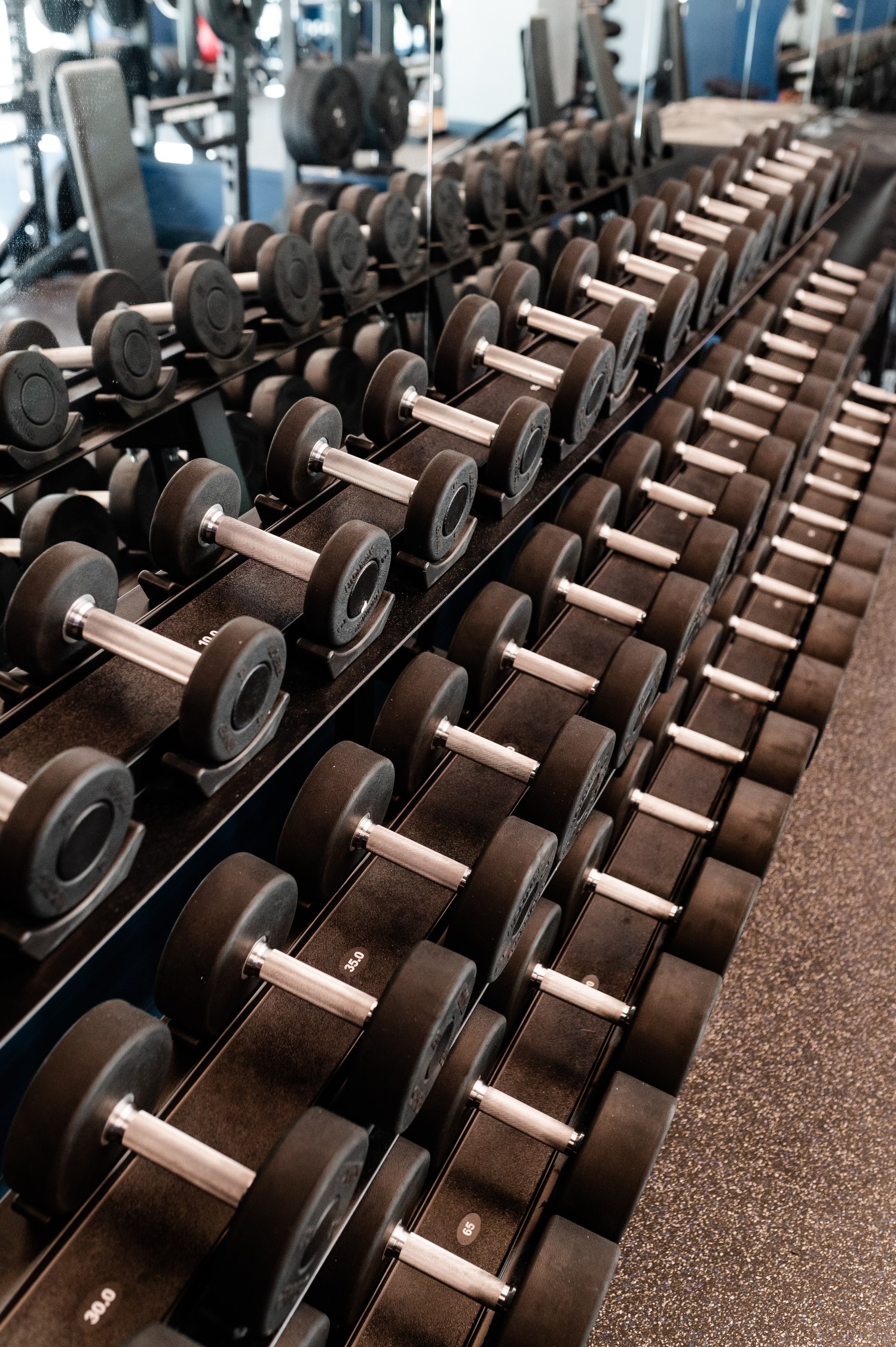 fitness center dumbbell sets close up