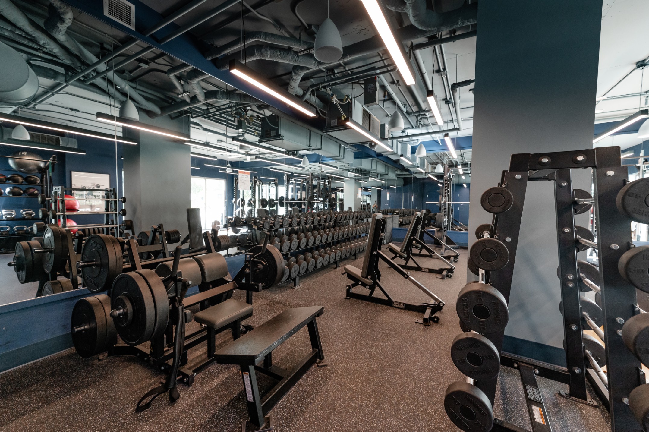 fitness center strength training squat racks