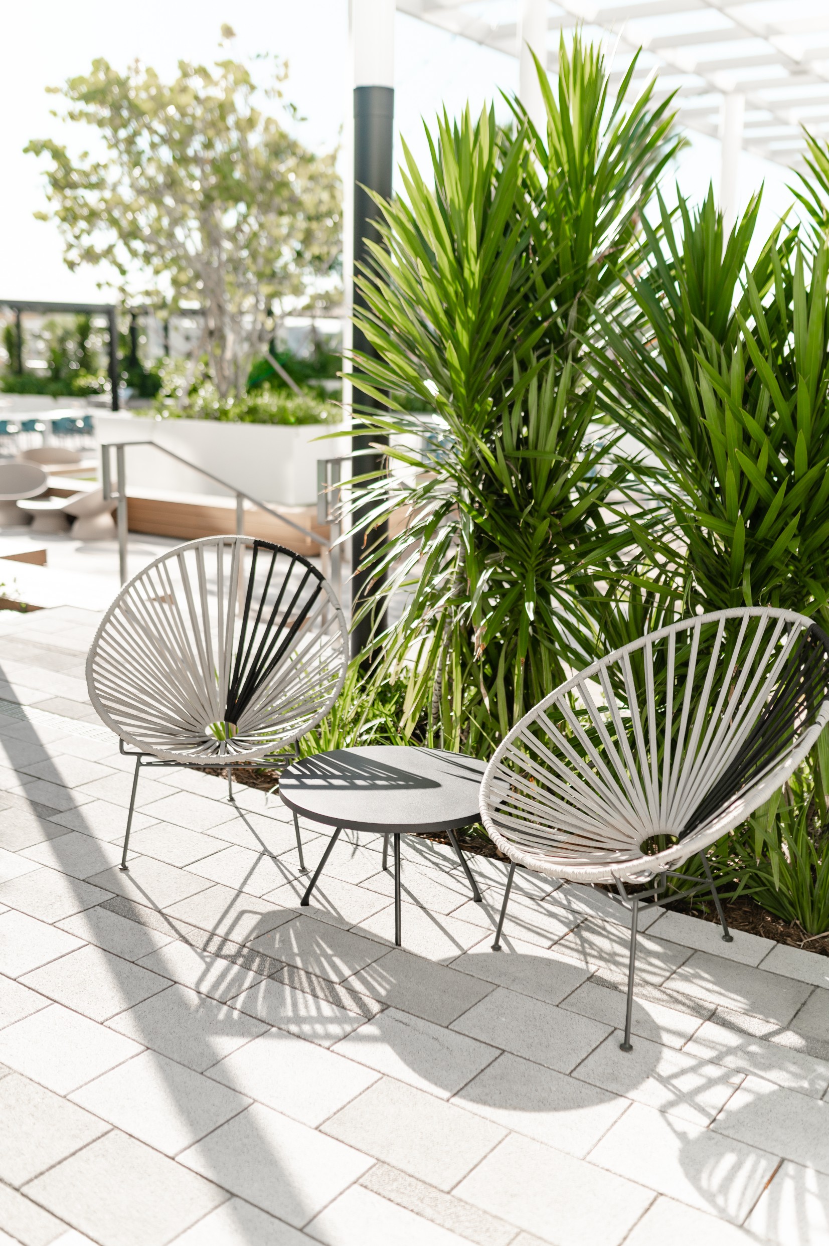 outdoor patio woven accent chairs tropical plants