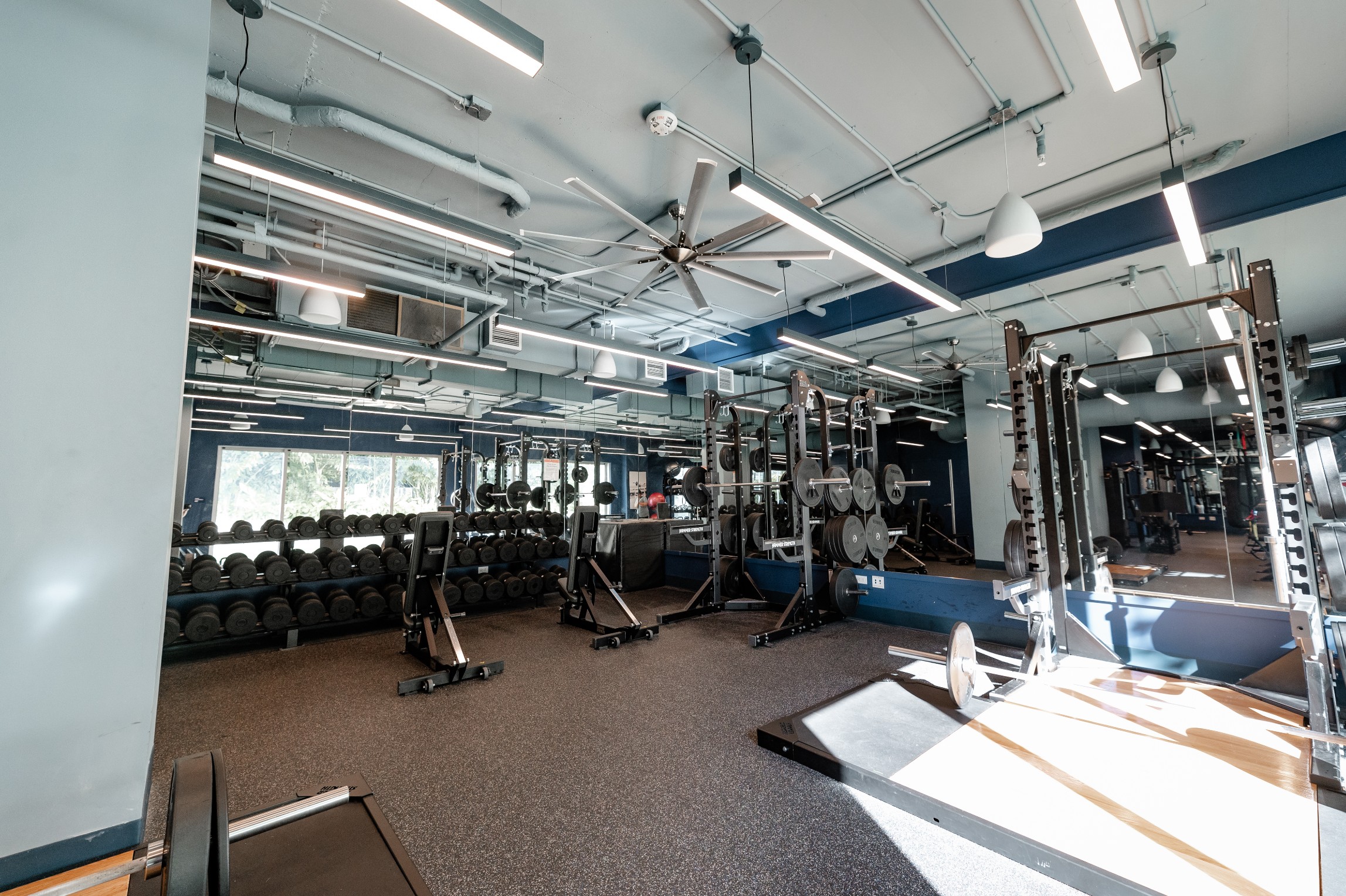 spacious apartment gym squat racks mirrored wall